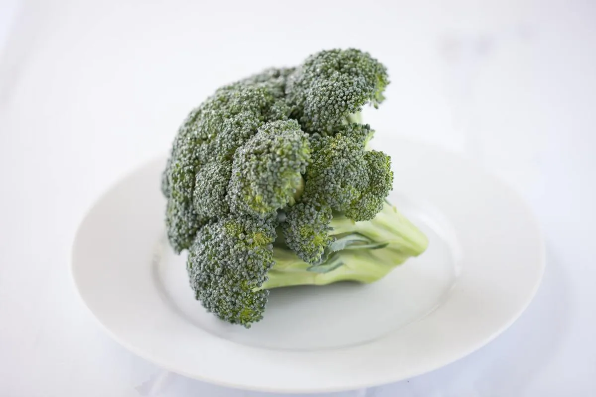 Fresh broccoli head on a white plate