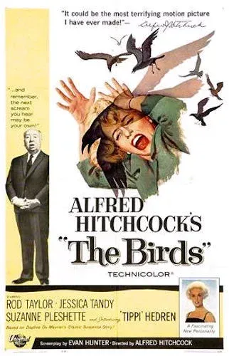 Poster for Hitchcock's The Birds, a woman screaming as birds dive at her