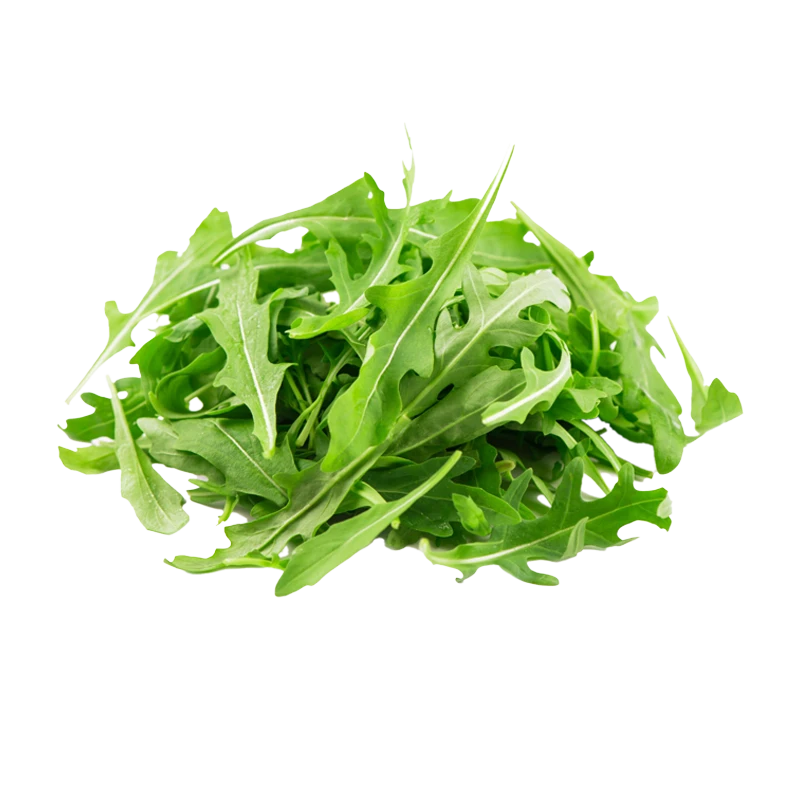 Arugula photo