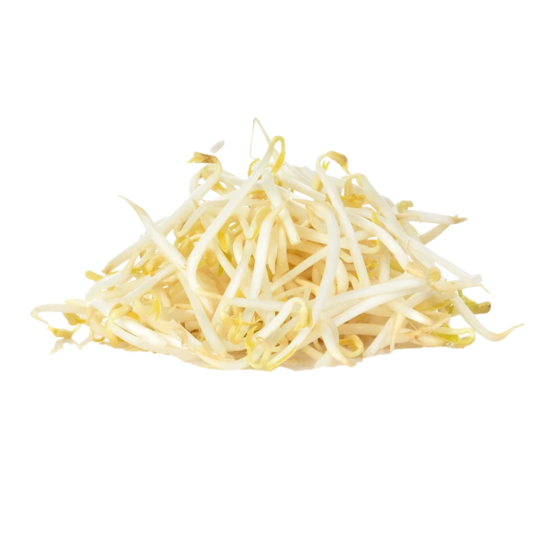 Bean sprouts photo