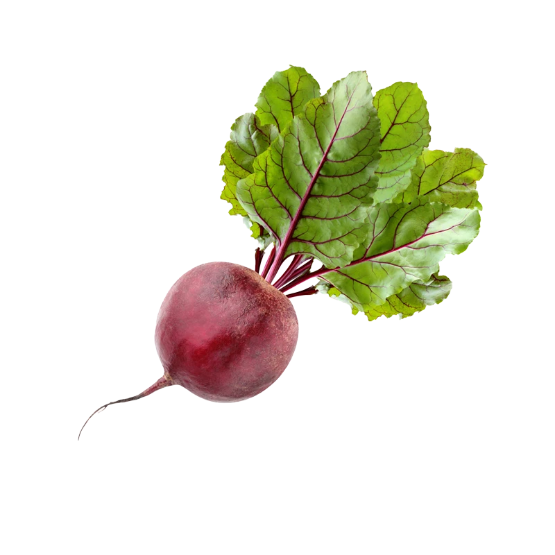 Beetroots photo