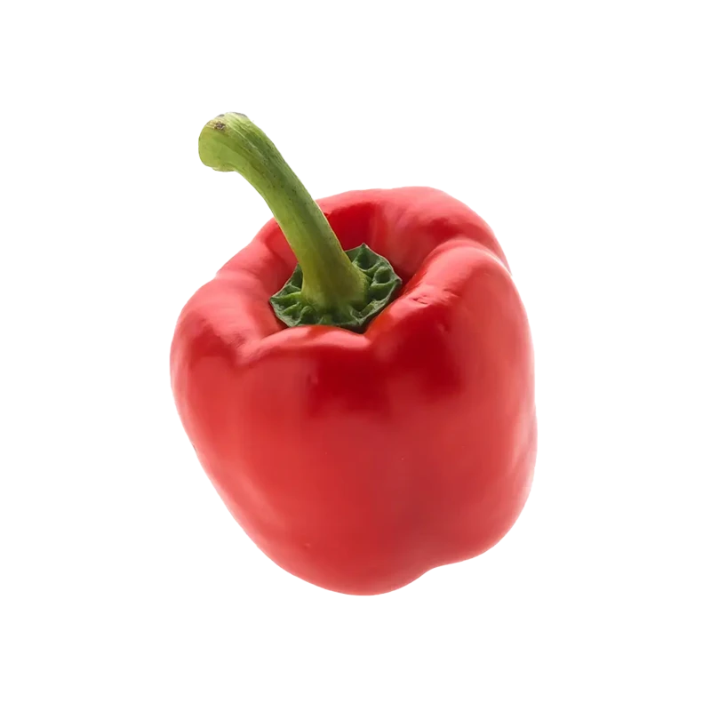 Bell pepper photo