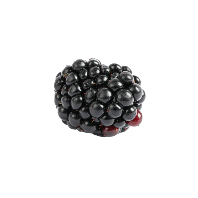 Brombeeren foto