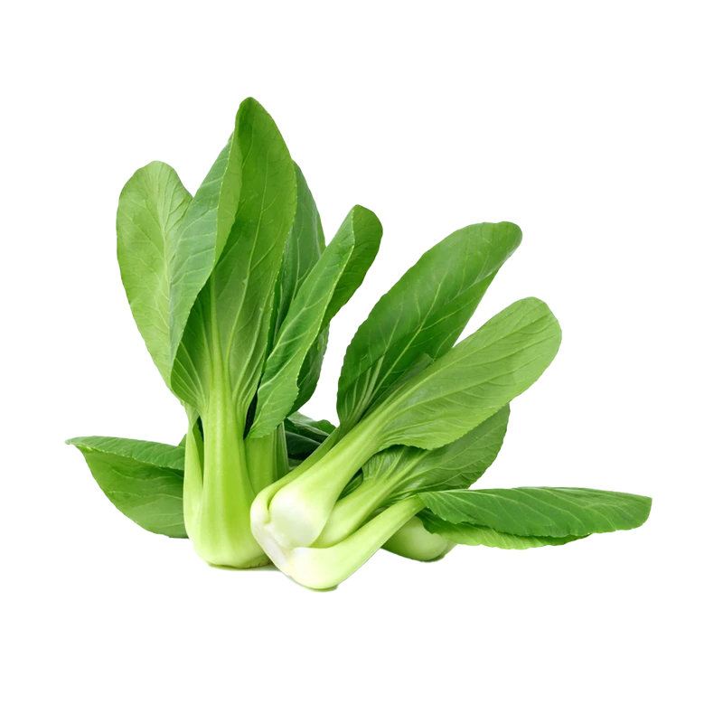 pak choi zdjęcie