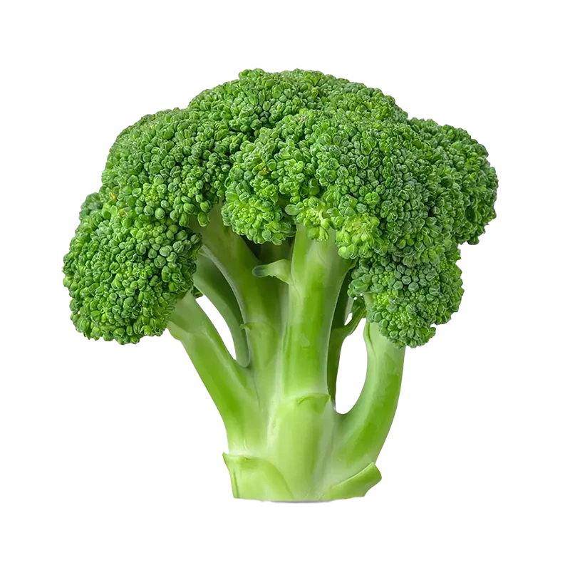 broccoli bild