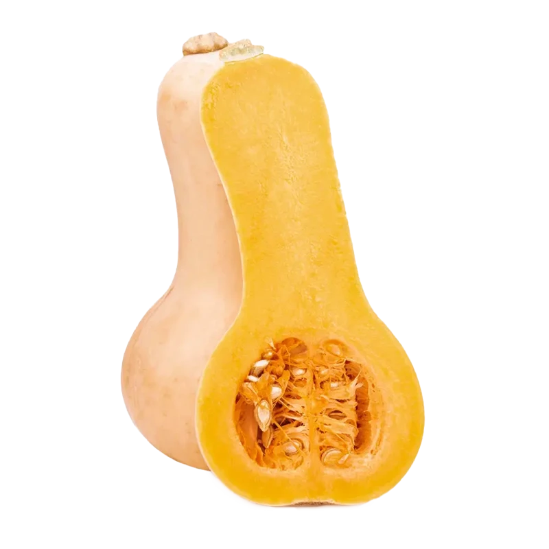 Butternut squash photo