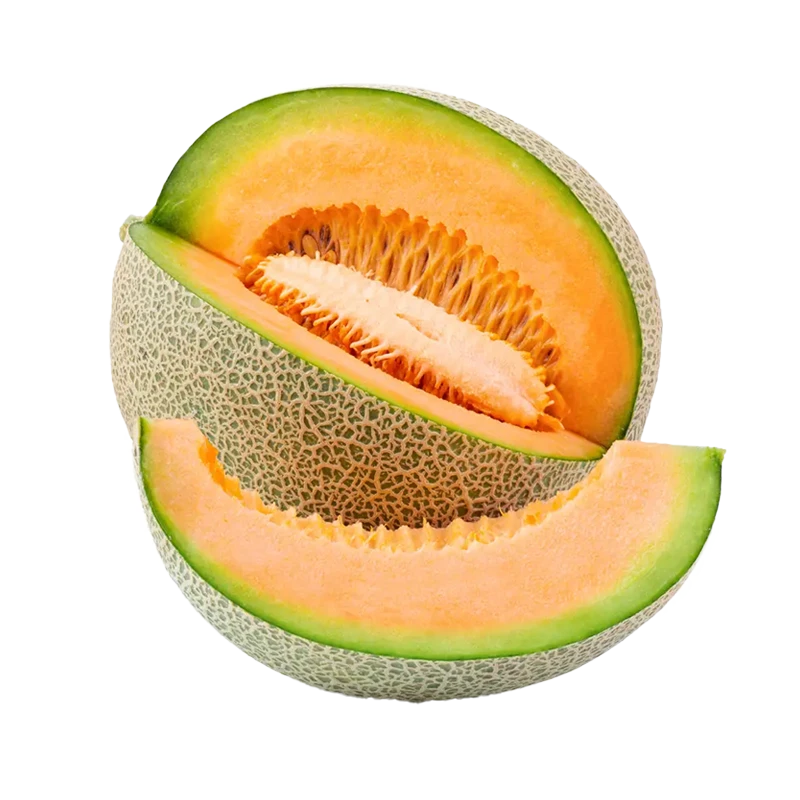 cantaloupe