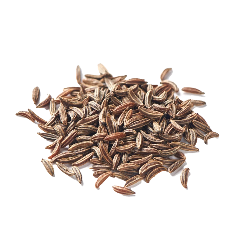 Caraway seed photo