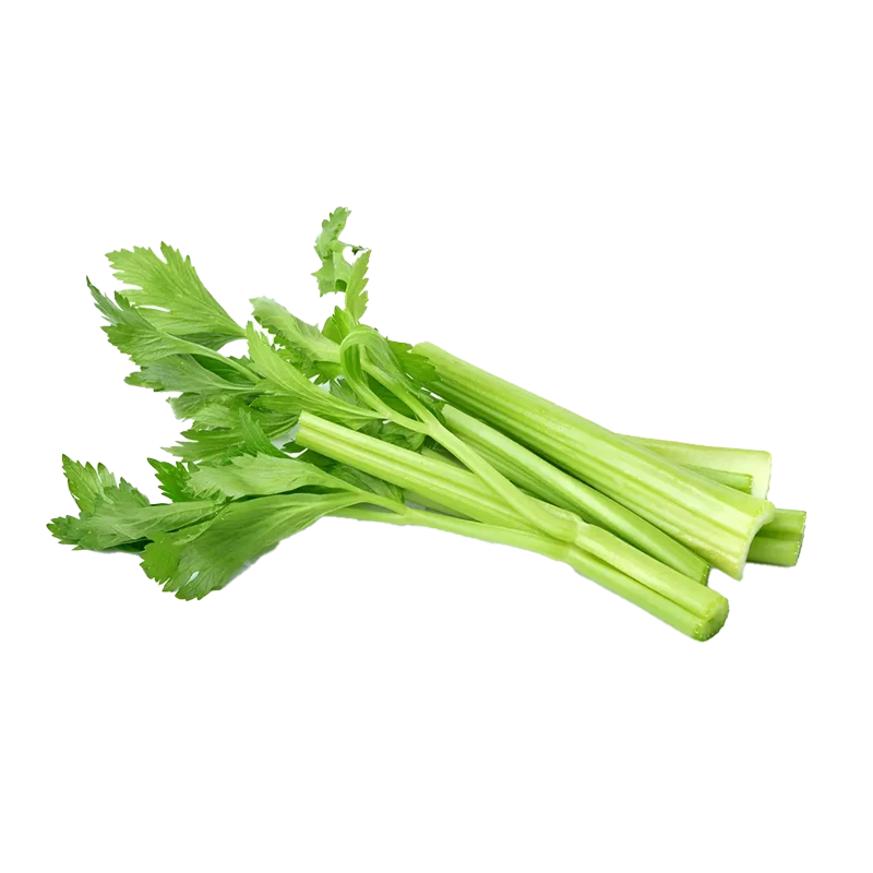 Celery photo