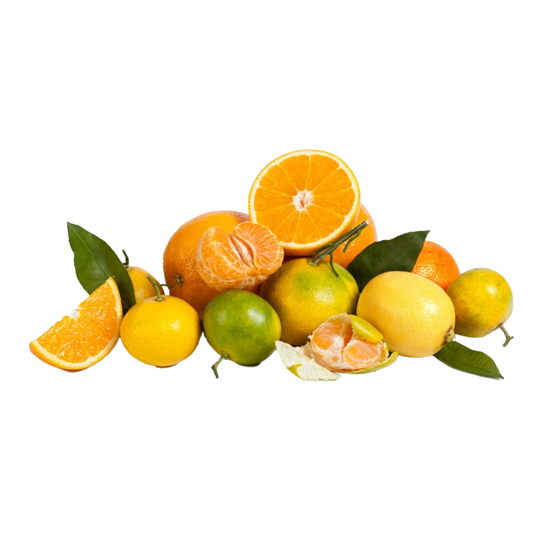 citrusfrukter