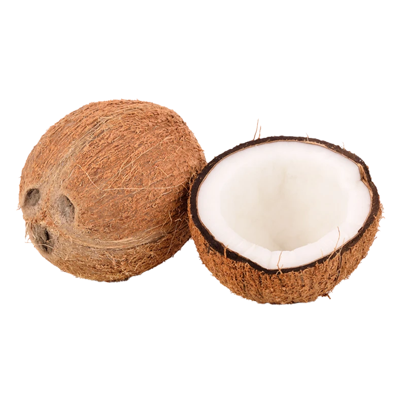 Coconut photo