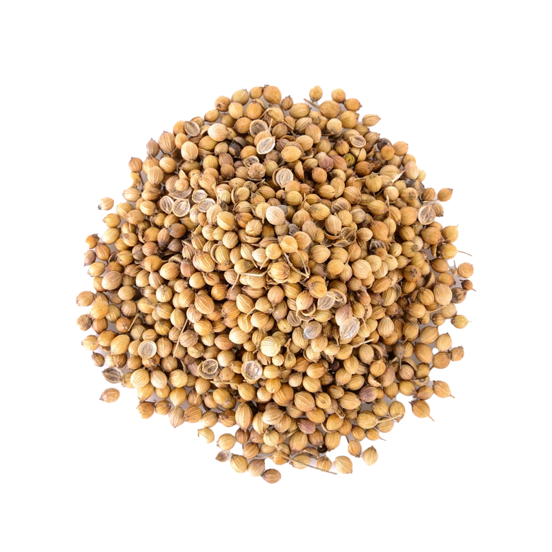 coriander