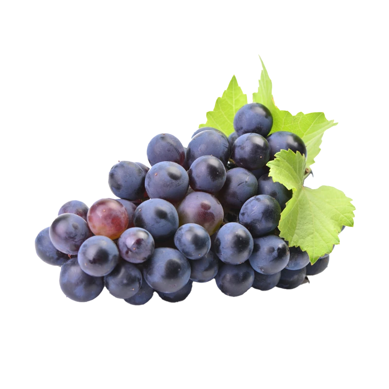 Dark grapes photo