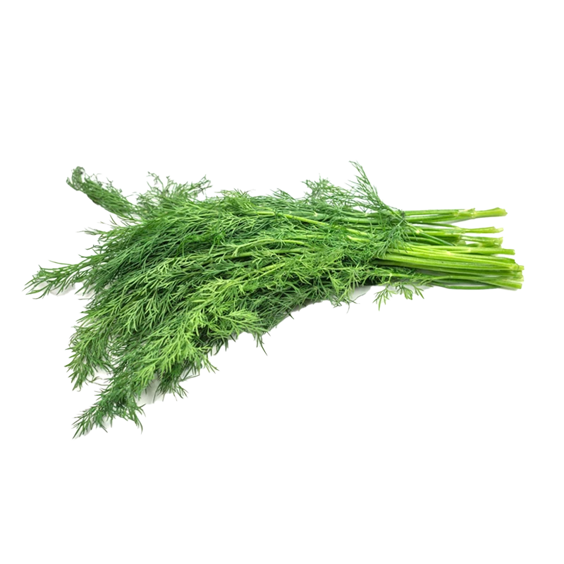 Dill photo