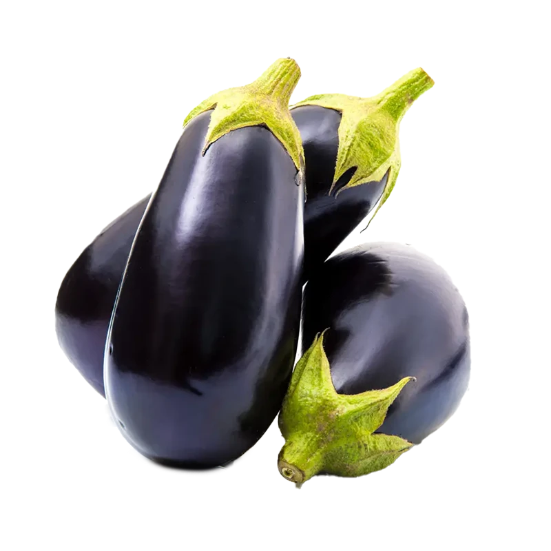 Eggplant photo