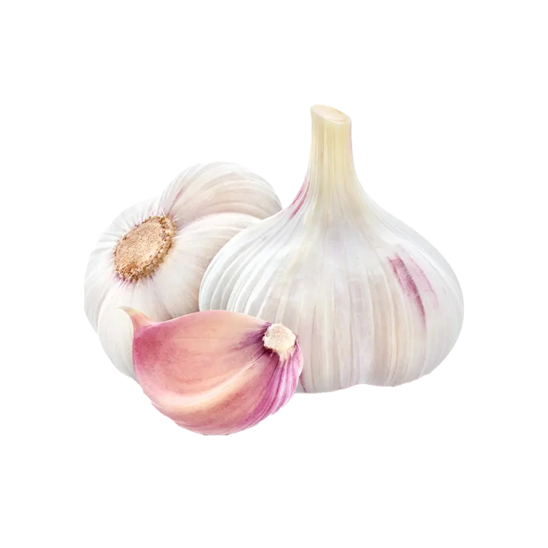 Garlic photo