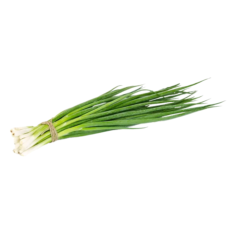 Green onion photo