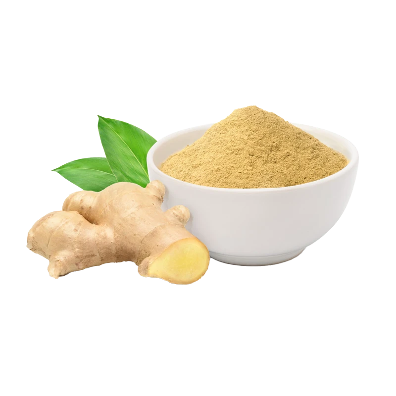 Ground Ginger — Nutrients, Health Benefits, And Shopping Tips