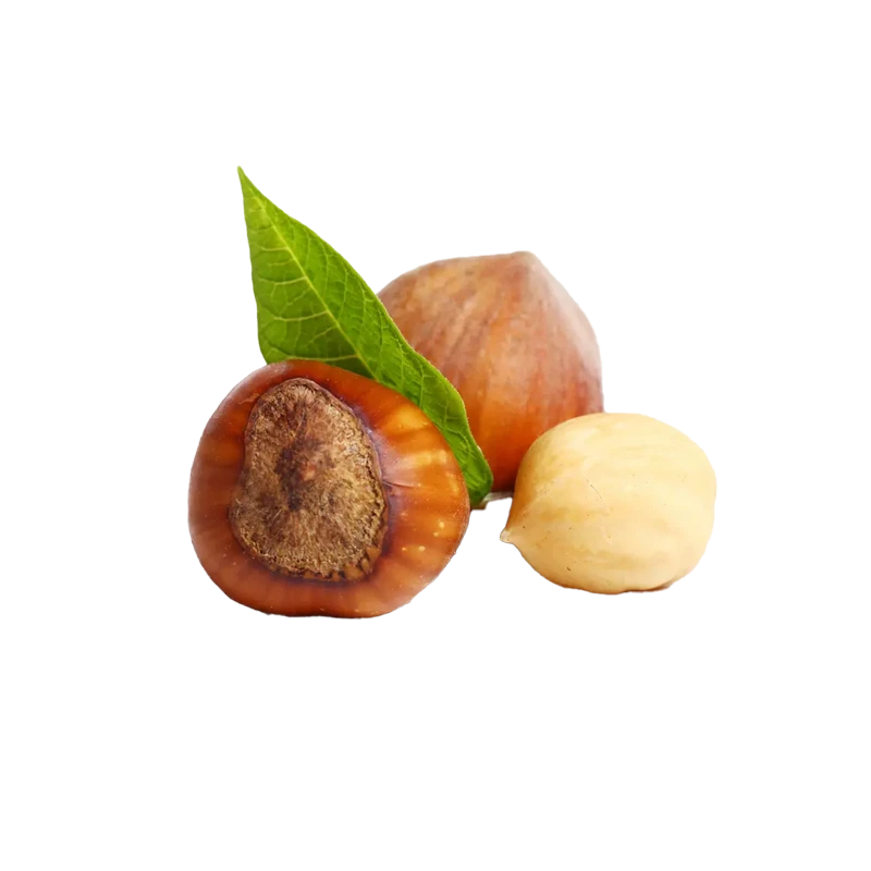 Hazelnuts photo