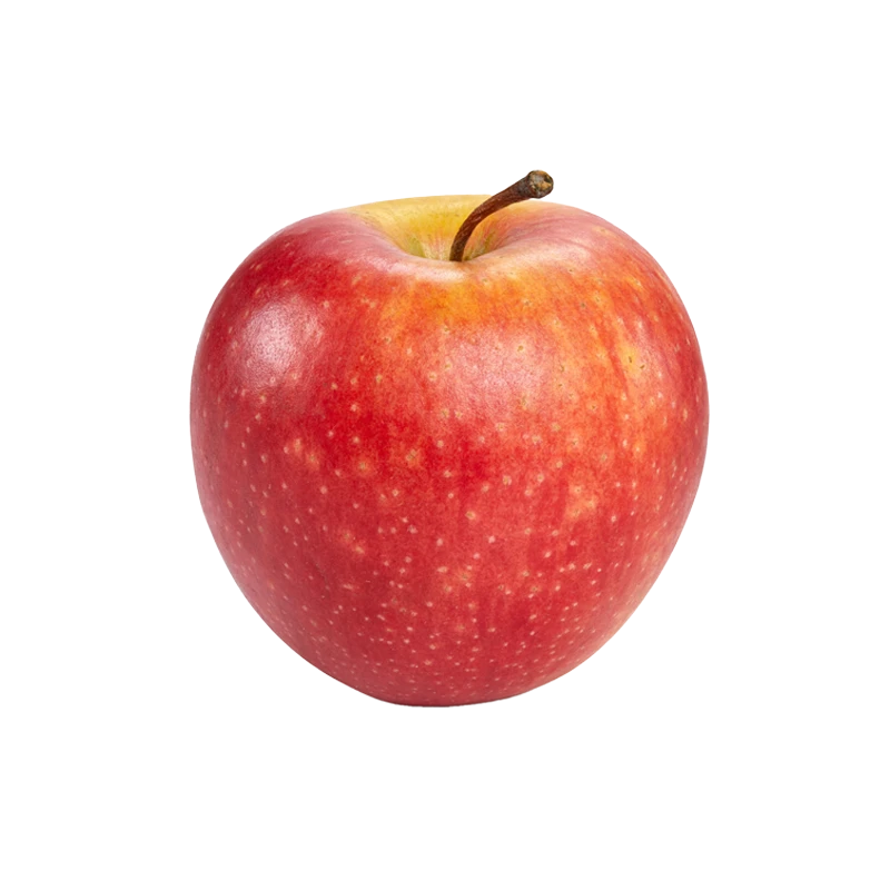 Honeycrisp apple photo