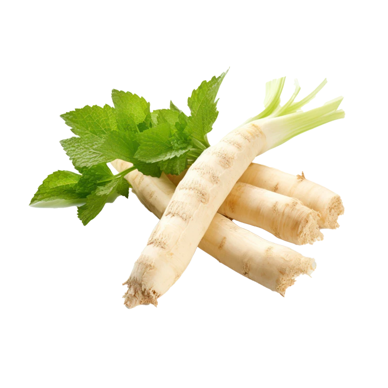 Horseradish photo