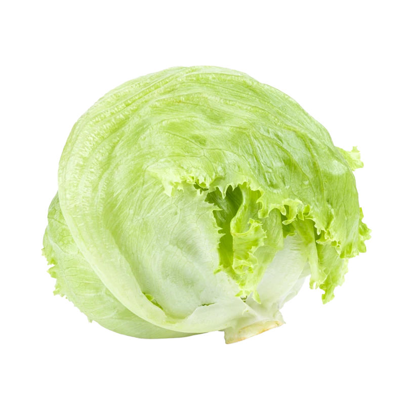 Iceberg lettuce photo