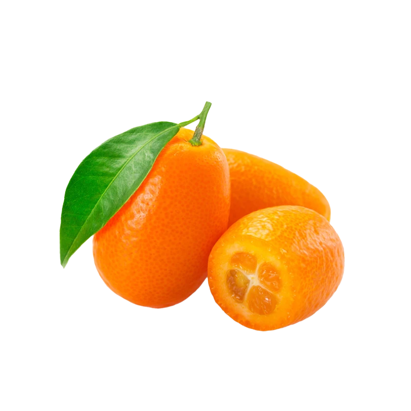 Kumquat photo