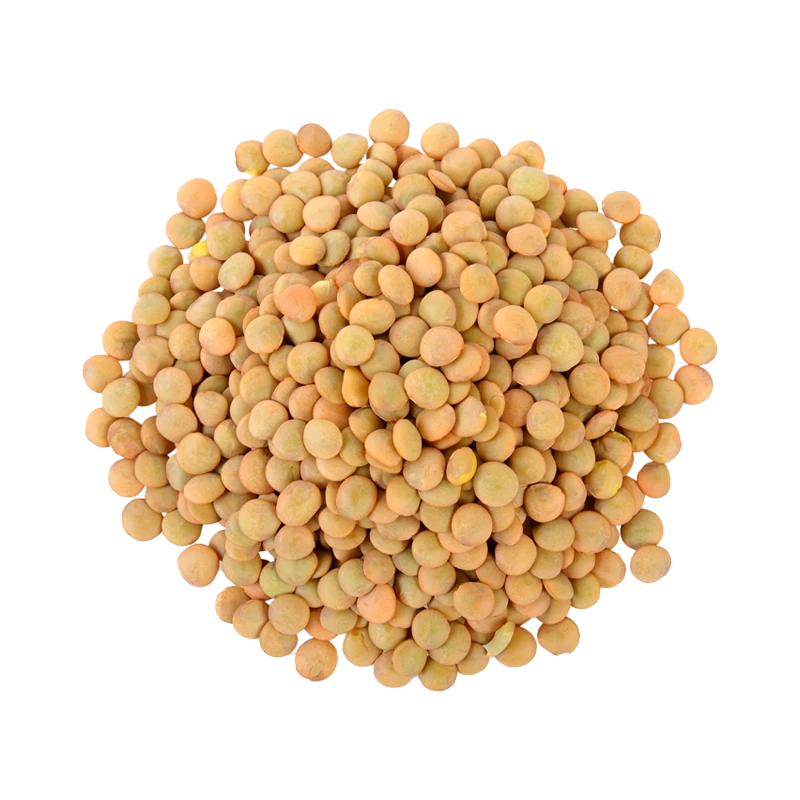 Lentils photo