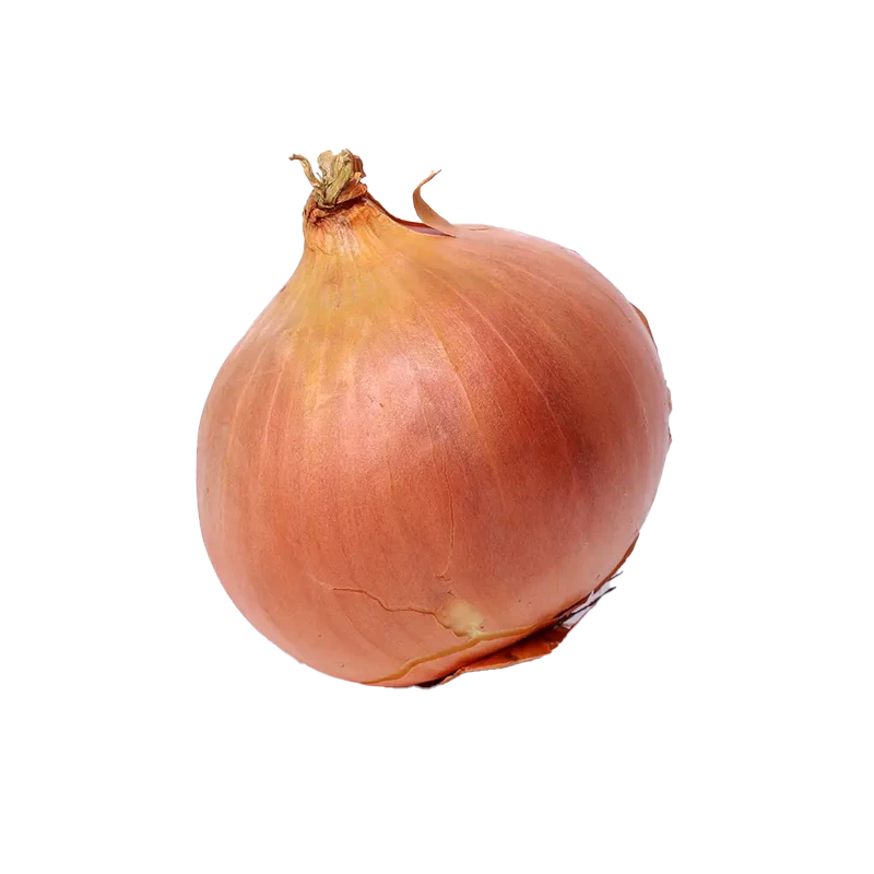 Onion photo