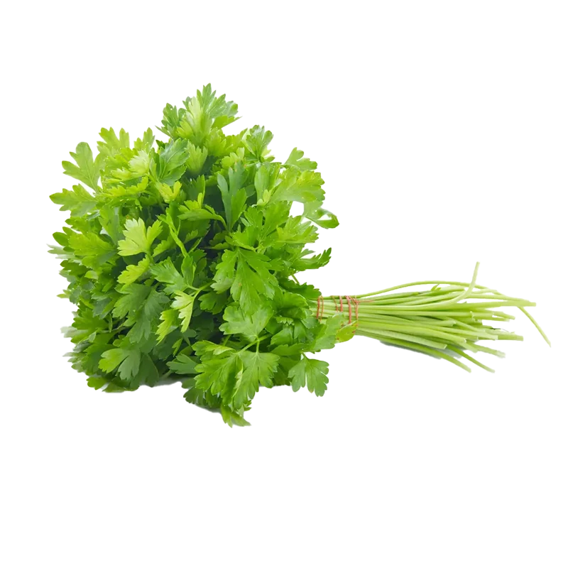 Parsley photo