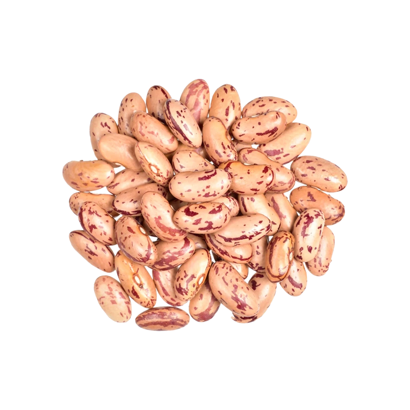 pinto beans