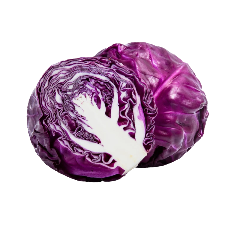 Red cabbage photo