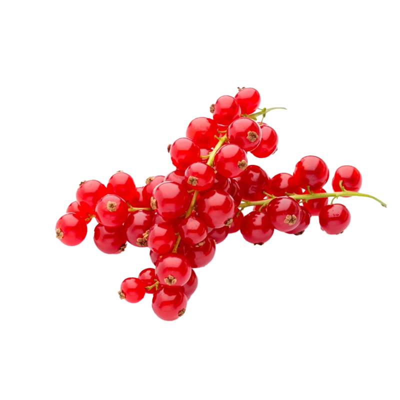 Redcurrants photo