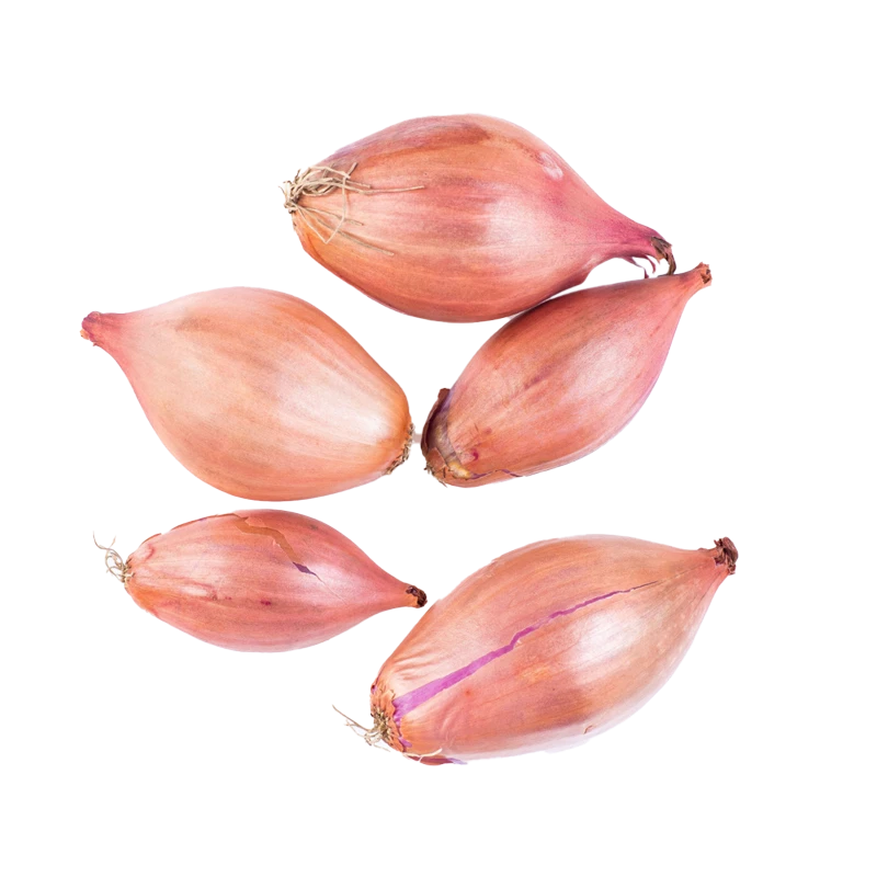 Shallot photo