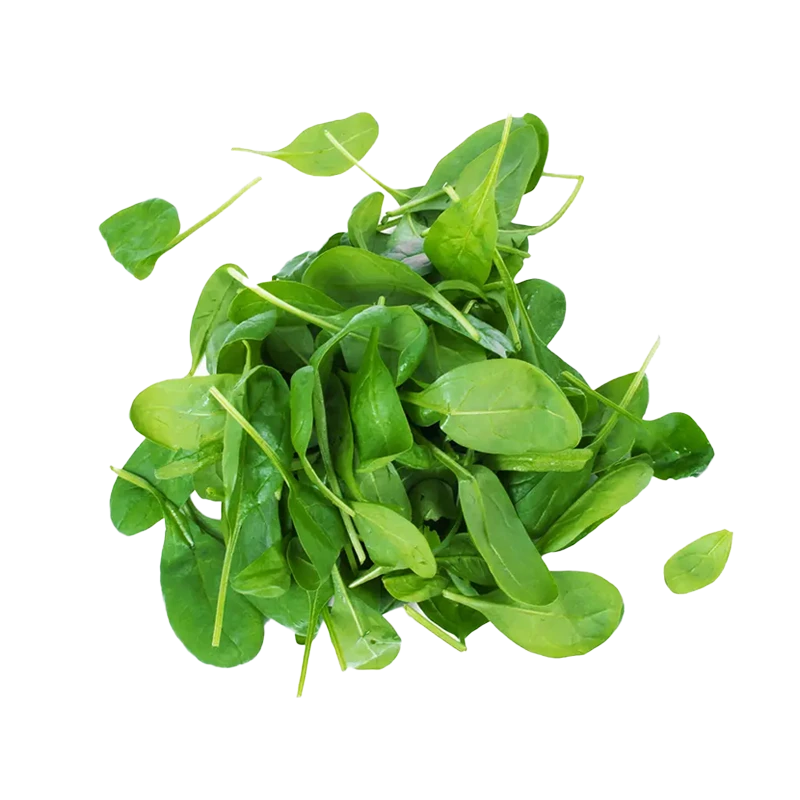 Spinach photo