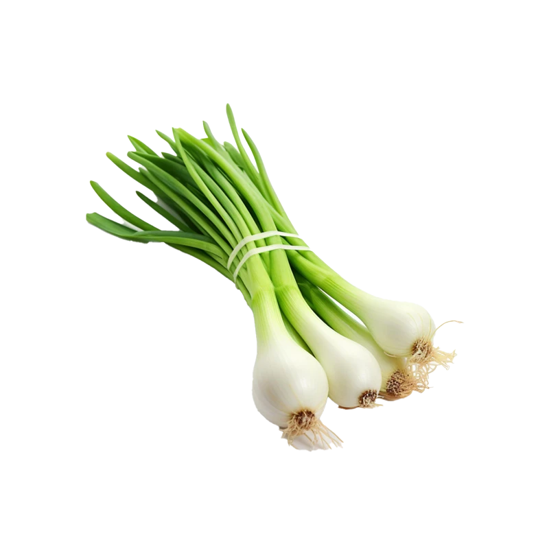 Spring onion photo