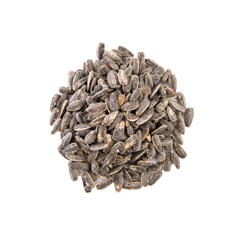 Sunflower seeds photo