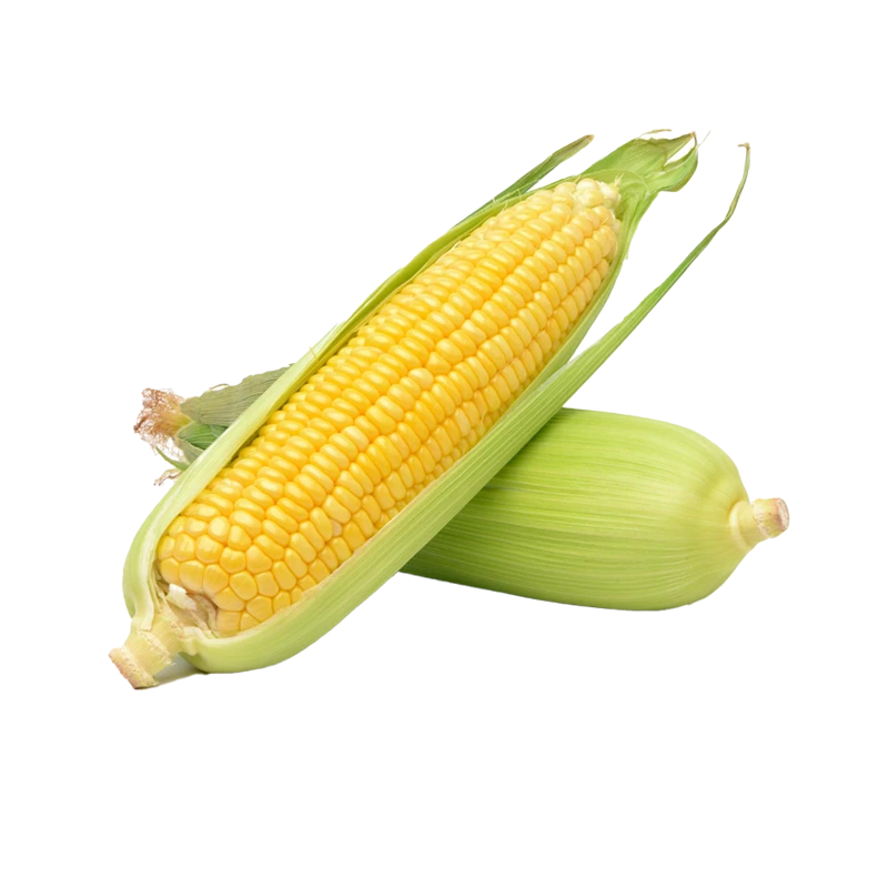 sweet corn