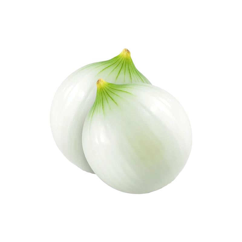 White onion photo