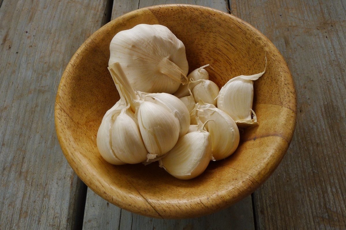 how to store garlic- room temperature