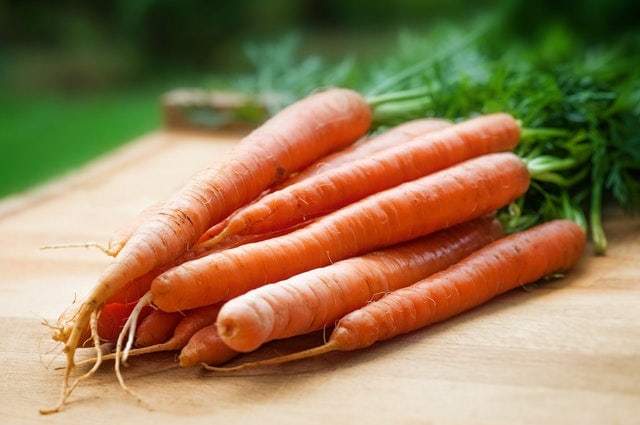 how to store carrots - featured