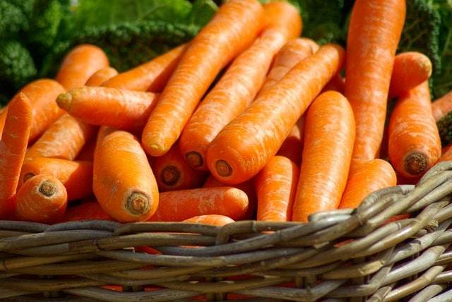 Que faire avec des carottes molles ? Conservation et astuces - Save Eat