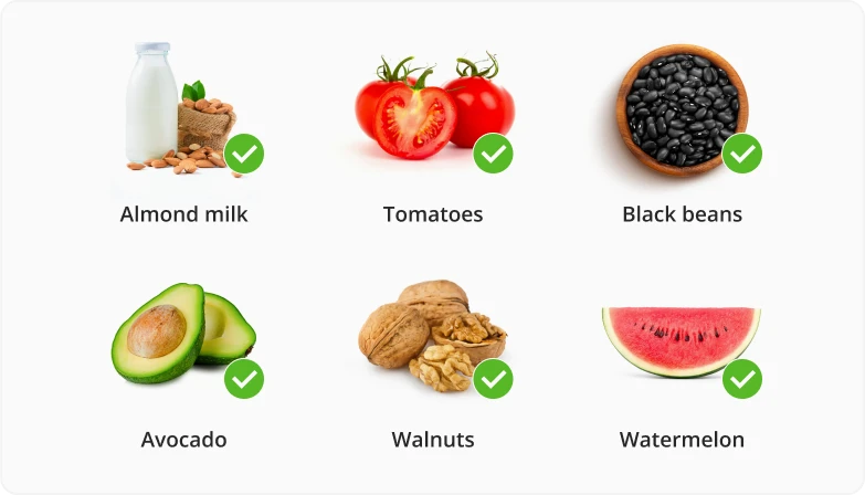Foods to eat on a Vegan Diet