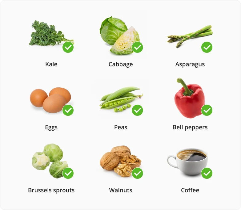 Foods to eat on a Keto Diet