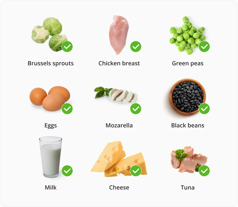 Foods to eat on a High Protein Diet