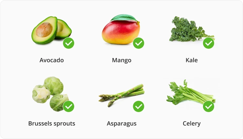 Foods to eat on an Alkaline Diet